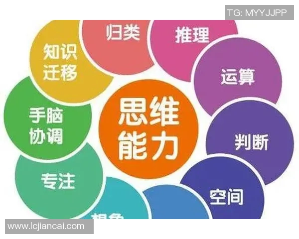 如何通过优化思维方式提高个人决策能力和问题解决效率